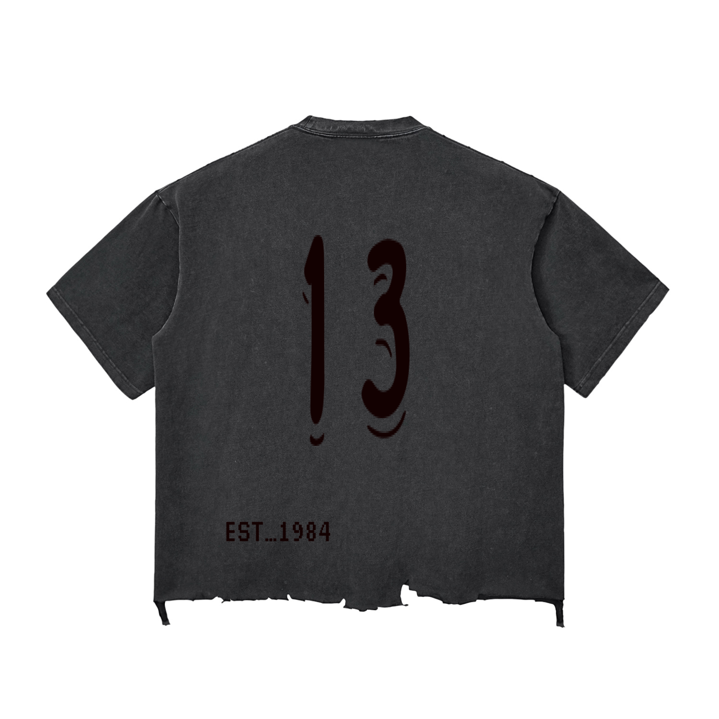 Snow Wash Raw-Hem Boxy T-shirt